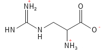 Arginin struktur