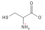 Cystein struktur