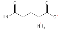 Glutamin struktur