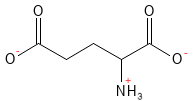 Glutamat struktur