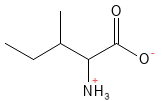 Isoleucin struktur