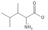 Leucin struktur