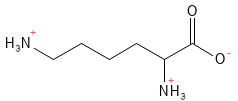 Lysin struktur