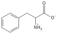 Phenylalanin struktur