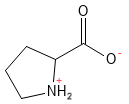 Prolin struktur
