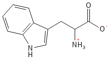Tryptofan struktur