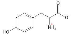 Tyrosin struktur