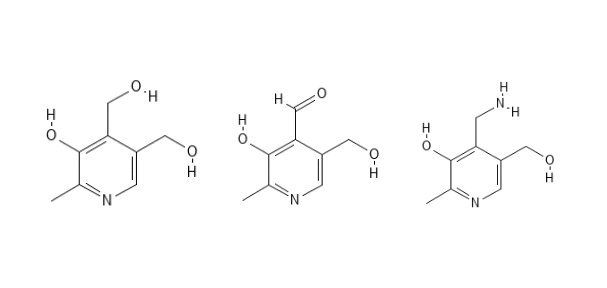 Vitamin B Pyridoxin - Pyridoxal - Pyridoxamin | PUCA - PURE & CARE