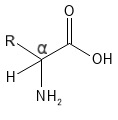 Alpha-Aminosäure
